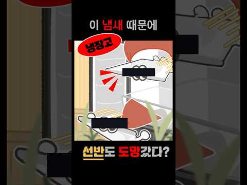 김치냉장고 선반 서랍 분해조립방법 #shorts