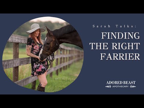 The Importance of Finding the Right Horse Farrier