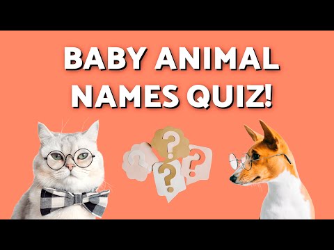 What Are These BABY ANIMALS Called? 🐶🐱 BABY ANIMAL QUIZ