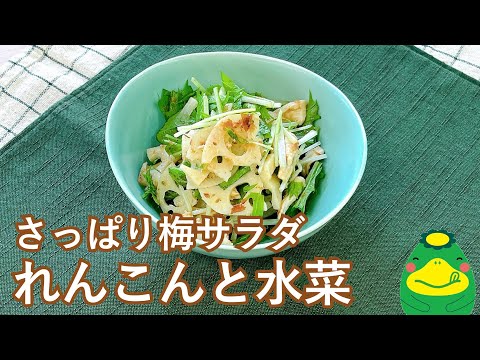 【さっぱり梅サラダ】れんこんと水菜