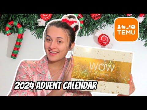 $20 Temu Advent Calendar?!