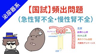 【国試対策】急性腎不全と慢性腎不全