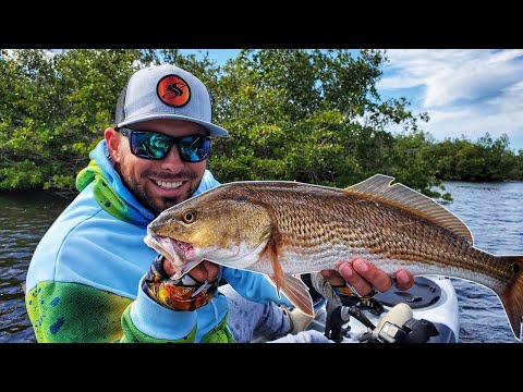 Tampa Bay Fishing After a Cold Front | Tips & Tricks