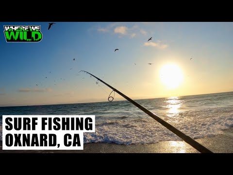 SURF FISHING - Oxnard, California - Okuma Rockaway SP Surf Rod First Impressions