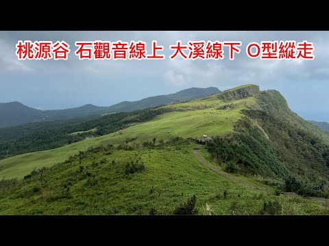 桃源谷 石觀音線上 大溪線下 O型縱走 山海交會 超療癒大草原