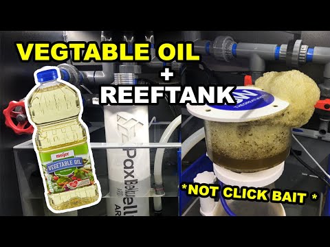 Vegetable oil + Reeftank?