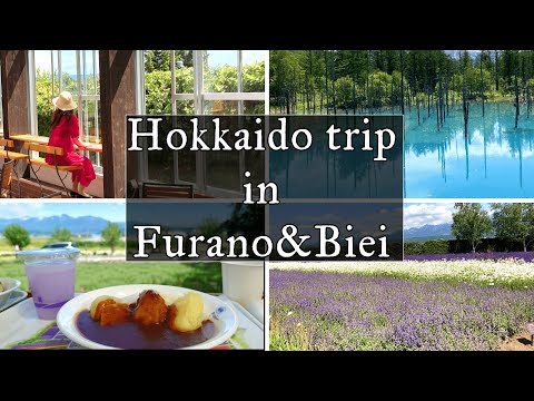 【vlog】3泊4日の北海道旅行#2 シーズンの時期じゃなくても楽しめる富良野と美瑛の観光