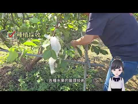 漫晞小姐の田園探險｜體驗有機生活與農業智慧的全新方式！【鄉田有機農場】