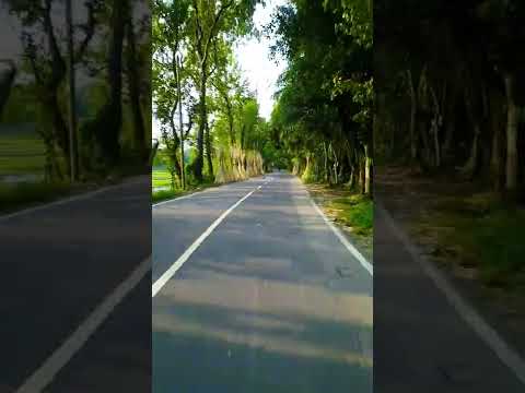 Pretty Roads of Bangladesh #shorts #dji #mini2 #bangla #bangladeshi #cinematicvideo