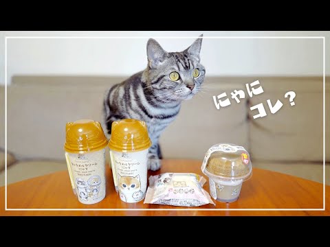 ファミマの猫スイーツを買って帰ったら、愛猫が嫉妬している模様ですw