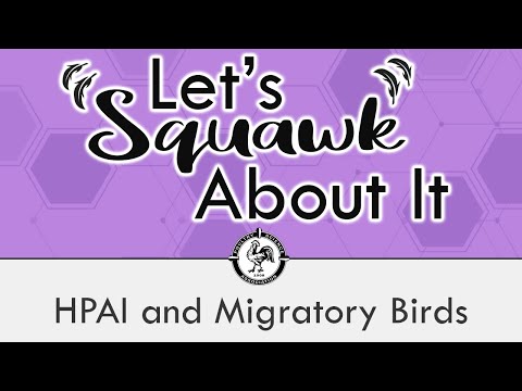 Let’s Squawk About It (S4 E3): HPAI and Migratory Birds