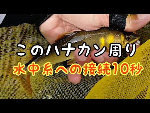 鮎釣り【10秒で接続 】神速ハナカン周りの作り方【最新最強の接続法】