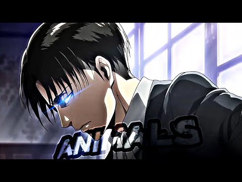 Levi Ackerman edit - Animals