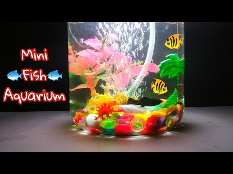 Make a Fish Aquarium at Home | Make a Fish Aquarium with Waste Material