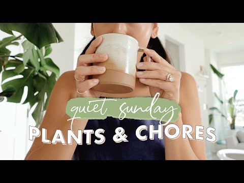 Quiet Sunday Vlog 🌱 | House Chores, Baking, and Repotting Giant Plant ~ *no talking*