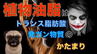 植物油脂はトランス脂肪酸と発ガン物質のかたまり