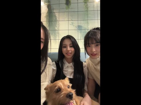 [ENG] 트와이스 TWICE - ChaeTzu insta live with Momo, Sana, Mina, JY and Boo! 240129