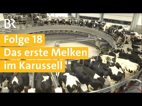 Stallgeschichten Folge 18: Einzug der Kühe in den Tierwohl-Stall mit Melkkarussell | Unser Land | BR