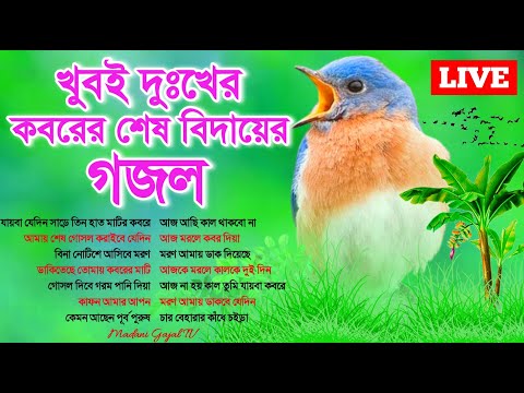 🔴 Live Islamic Gojol | খুবই দুঃখের পরকালের শেষ বিদায়ের গজল গুলি শুনুন জীবন বদলে যাবে ইনশাআল্লাহ