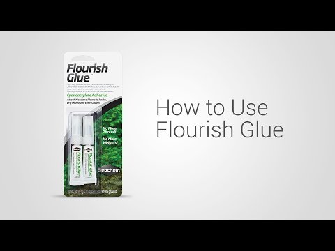 Using Flourish Glue