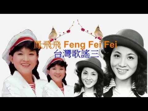 鳳飛飛Feng Fei Fei- 送君珠淚滴(極品管味)