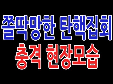 쫄딱망한 탄핵집회 충격 현장모습