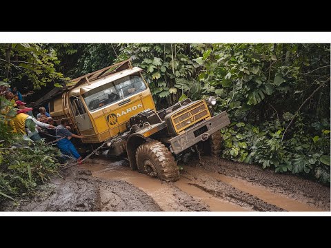 Terrifying Risks! Off-Road Trucks Have No Room for Failure,Dangerous Logging Truck Journeys #70