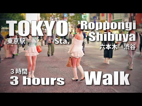 夜散歩 ３時間 東京駅～六本木～渋谷 / 3hours Night walk Tokyo Sta. to Shibuya via Roppong, Japan (November 3, 2024)