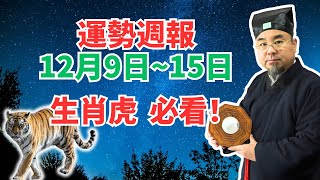 命理測算：屬虎人一週運勢（12月9日至15日），內含吉凶日，非看不可！ #生肖虎2025年運勢 #生肖虎2025年運程 #屬虎人2025年運勢 #屬虎人2025年運程