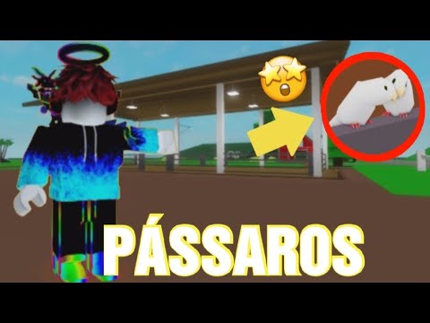 Tem pássaros no Brookhaven (Não é clickbait)