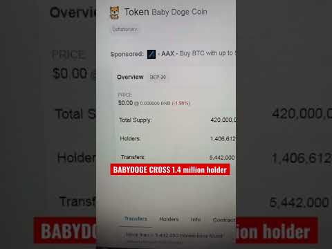 Babydoge Cross 1.4 millions holder