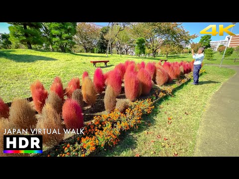 Japan - Tokyo Autumn Walk in Ota-ku • 4K HDR