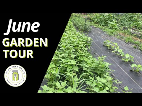 June 2024 FULL Garden Tour