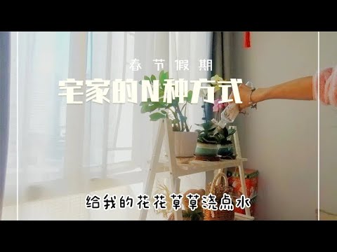 春节宅家悠闲时刻