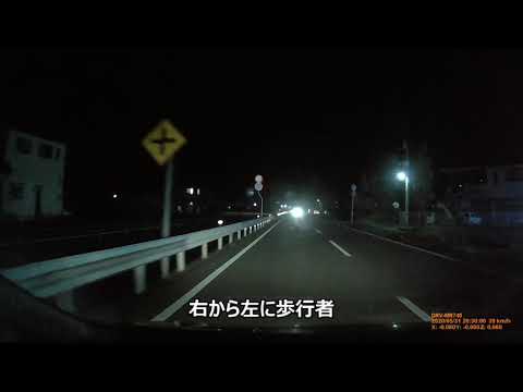 夜間横断