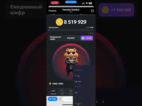 Секретный Шифр Hamster Kombat на 11 июня 24г