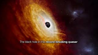 Meet J0529-4351: A Black Hole that ate one Sun a day