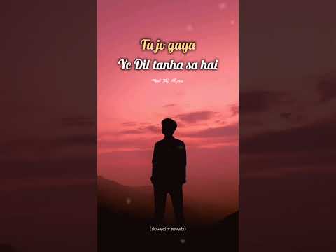 Tu jo gaya ye Dil tanha sa hai ❤️‍🩹🥺 #shorts #lofimusic #sadsong