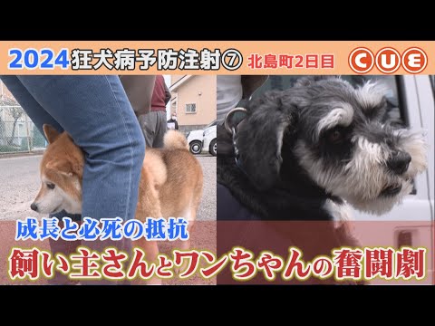 2024狂犬病予防注射　北島町でひっそり行われたワンコたちの戦い⑦