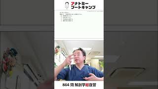 【 #国試1分道場 ・呼吸器系】安静呼気時に起こる現象はどれか。　１．横隔膜は挙上する　２．肋骨は挙上する　３．外肋間筋は収縮する　４．腹壁の筋は弛緩する #かずひろ先生 #解剖学