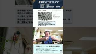 【 #国試1分道場 】膠原線維【 #かずひろ先生 #解剖学 】