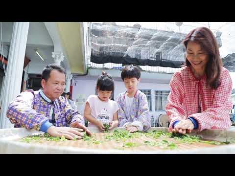 阿里山四季茶旅-秋季茶會-Alishan Tea Festival In Four Seasons