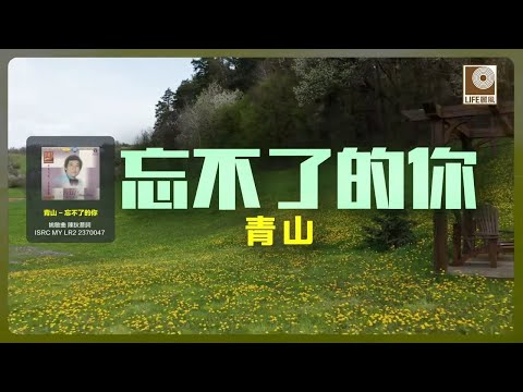 青山 - 忘不了的你 (Official Lyric Video)