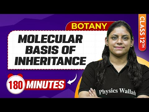 Molecular Basis of Inheritance in 180 Minutes | Class 12th Botany | Mind Map Series