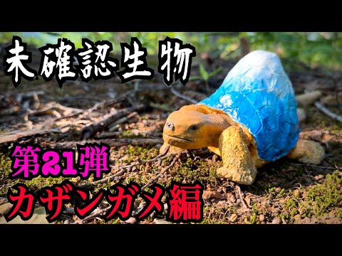 【未確認生物】カザンガメ見つけるまで帰れません！！！