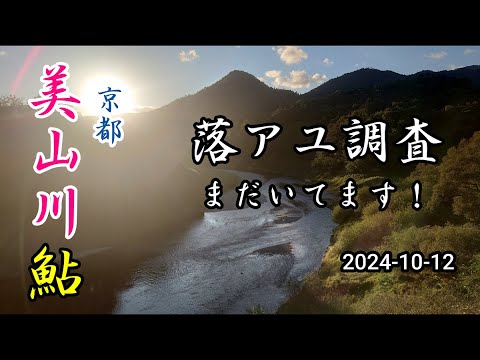 2024-10-12 CB1300SBで行く 京都美山川 落ちアユ調査!