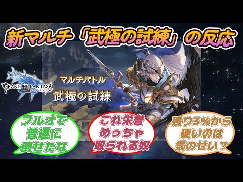 【グラブル反応集】新マルチバトル『武極の試練』の難易度やギミックについて語る騎空士達