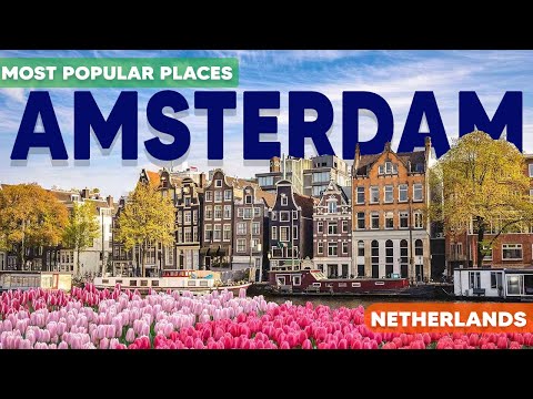 Amsterdam: Top Things to Do and See