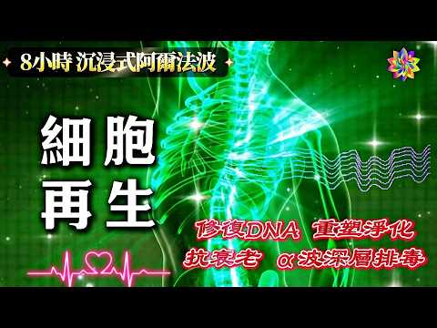 【8小時細胞重塑】科學家無法解釋爲什麽此音頻可以治愈全身|528Hz+432Hz頻率改變整個身體|修復DNA|抗衰老|重塑淨化|細胞再生|排毒冥想音樂