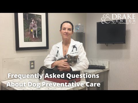 Frequently Asked Questions About Dog Preventative Care